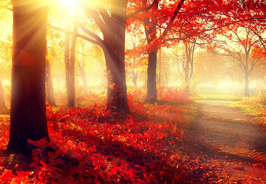 Autumn fall